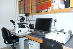 confocal microscope