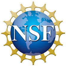 National Science Foundation icon