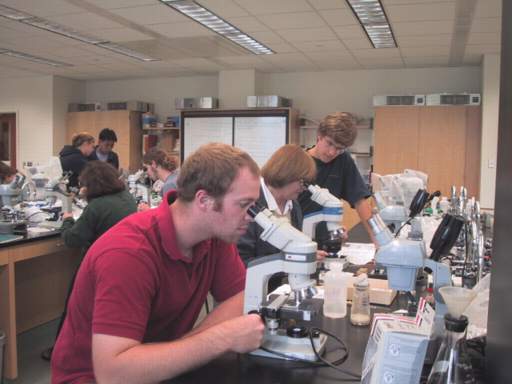 images/RepSci2003fnl04.jpg